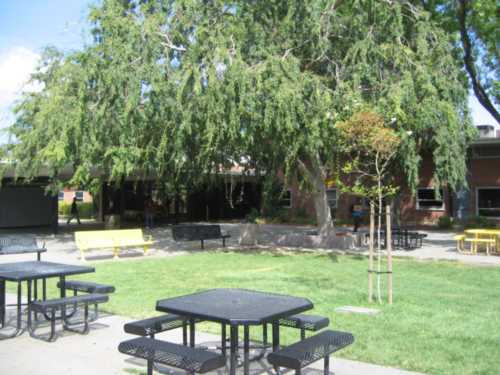 Antioch High Courtyard